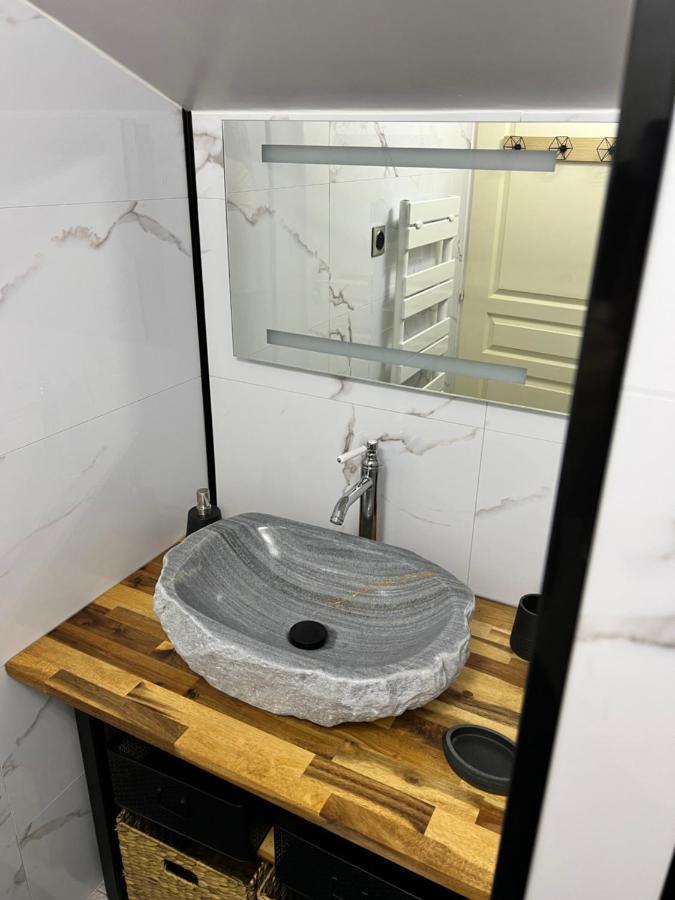 Relais De La Venise Verte Coulon Kültér fotó